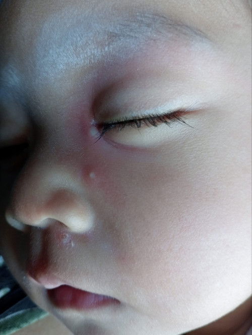 Ada yang tau ini kenapa?