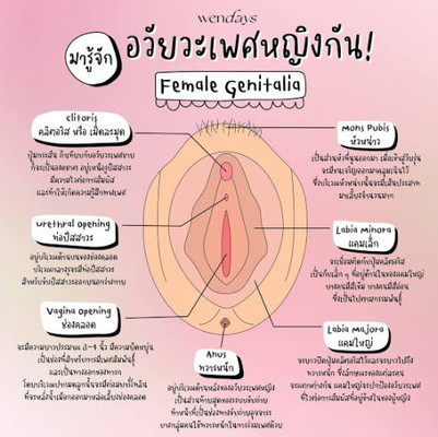 ท้อง33สัปดาห์1วัน เจ็บ จิมิตรงส่วนคริตอริส แม่ๆคนไหนเป็นบ้าง? ผิดปกติไหมคะ?
