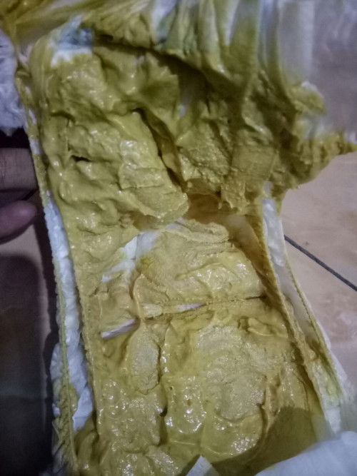 Pup bayi 3 bulan full sufor