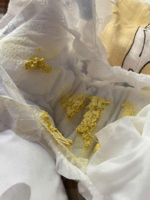 Warna Najis Baby Kuning Pucat