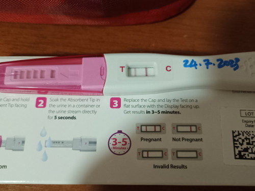 Pregnancy after missed miscarriage