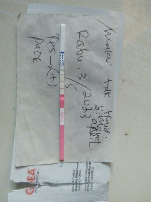 Hasil Tespak positif diawal uk. Negatif diuk 23 kenapa ya
