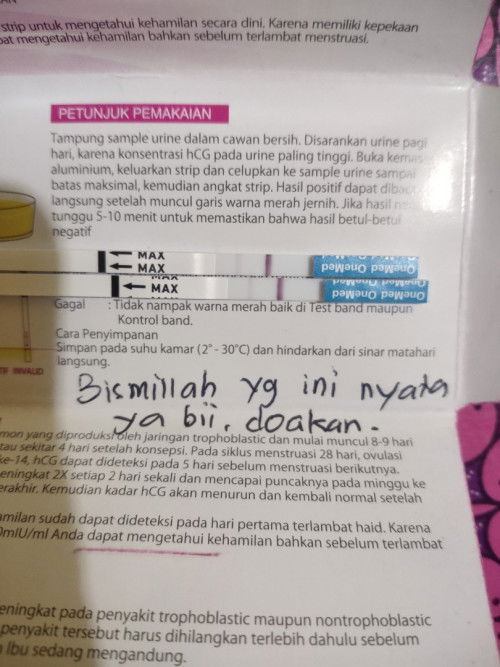 Minta pendaptnya bund.