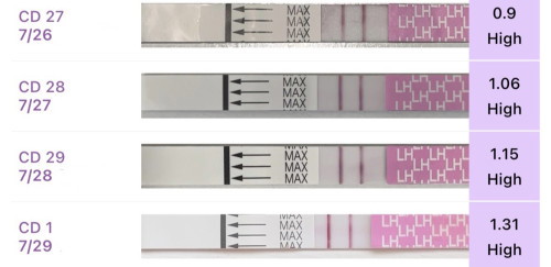 Ovulate lambat or…..