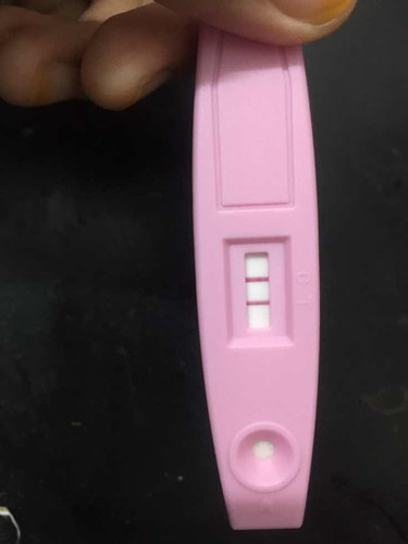 Second pregnancy