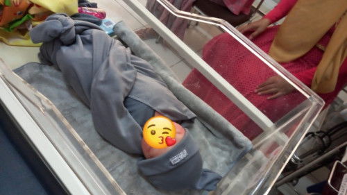 HPL 5 Agustus sudah launching