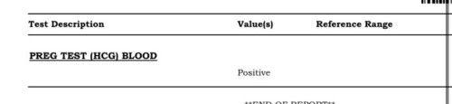 PREG TEST blood serum