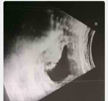 มีใครเจอเหตุการณ์แบบนี้บ้างคะ