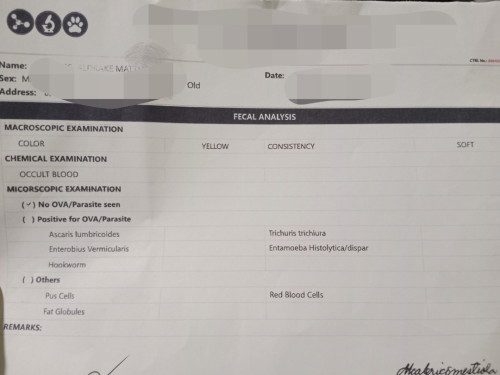 Hello po mga mommies, ano po kaya meaning kung ganito po result ng fecal analysis ni baby ko po. Tnx