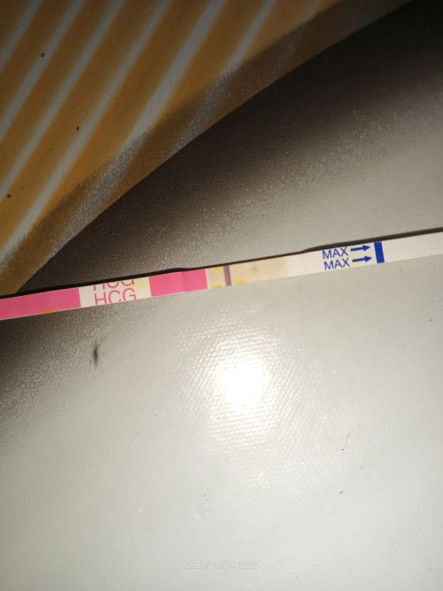 Tespek positif atau negatif
Mau tanya bun ini samar atau gimana bun ya