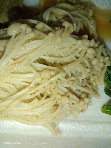 Tm 1 makan jamur enoki
