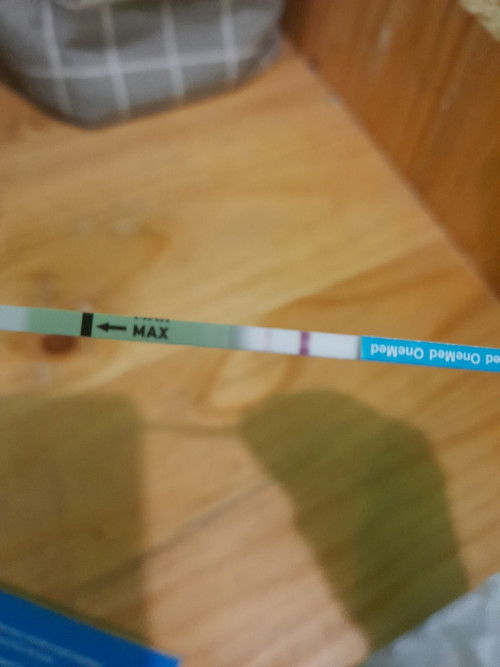 Mending langsung ke dokter atau tunggu 2 minggu lagi ya bund?