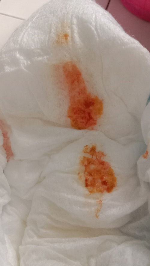 pup bayi 2bulan berdarah