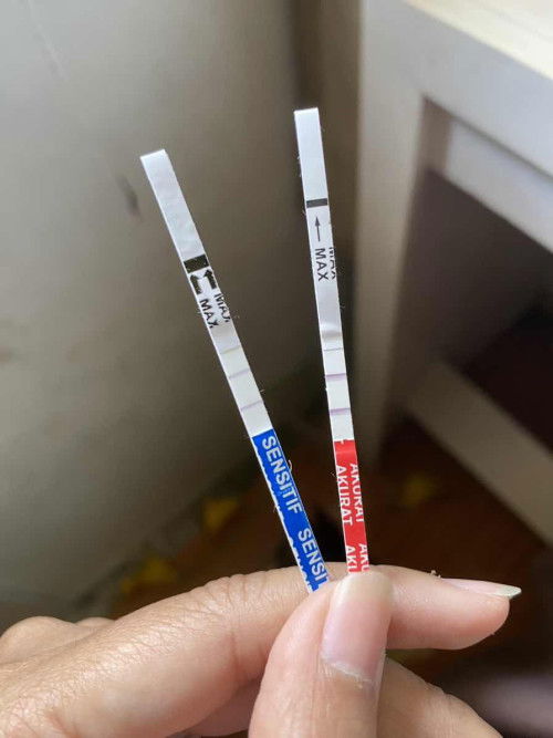Apakah ini positif hamil?