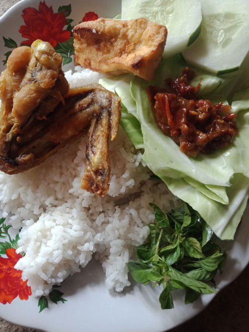 Bolehkah ibu hamil makan ayam lalapan? Hamil 4bulan