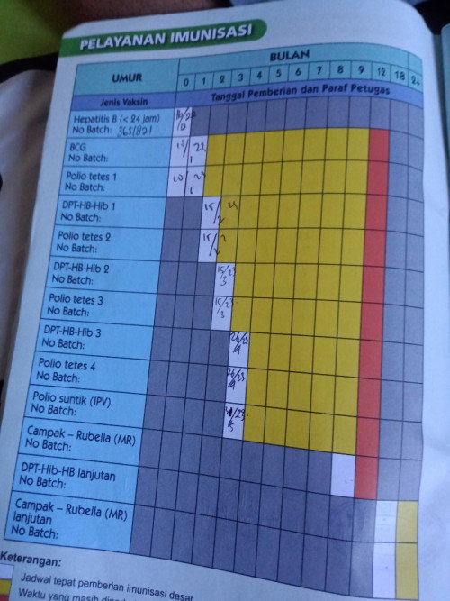 imunisasi anak