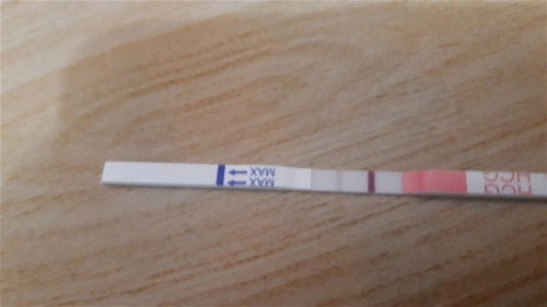 Bingun nih bund, testpack masih samar