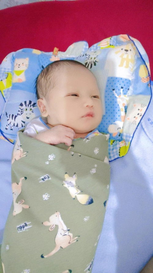 HPL 8 AGUSTUS LAUNCHING 29 JULI 2023