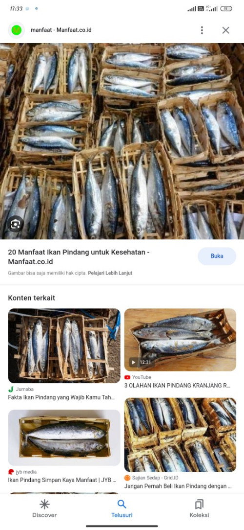 Mpasi 9+ prohe ikan pindang?