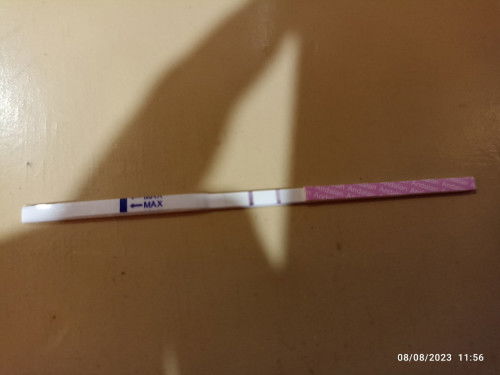 Kapan waktu yang tepat untuk USG trisemeter awal?