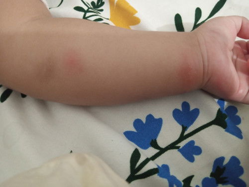 salep untuk bayi 6 bulan