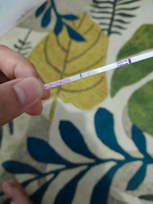 Pernah mengalami keguguran karena hamil BO