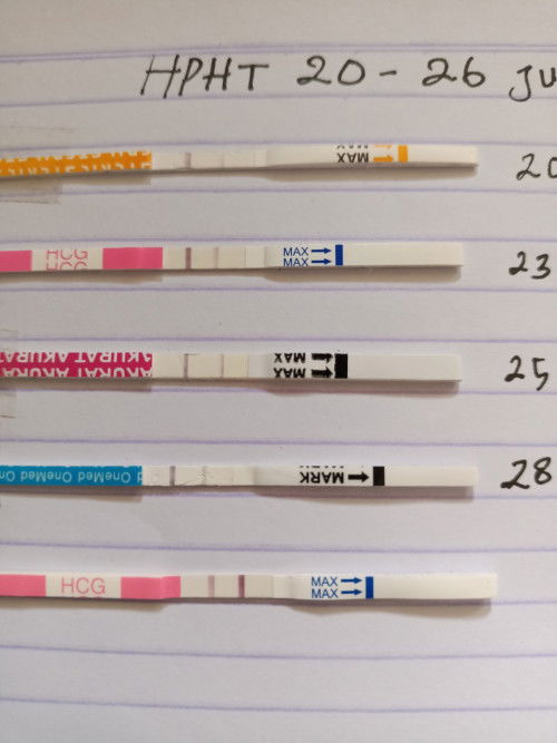 Bun, kalo garis terangnya jadi tebal yang bawah itu artinya gimana yah Bun,ini kebalik/bagaimana ya?