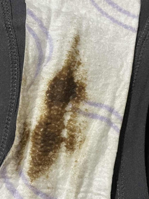 30 minggu keluar Coklat