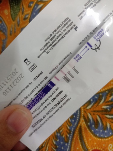 Pregnant lagi