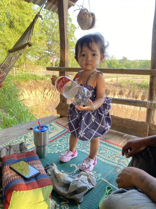 เลิกเต้า หย่านม