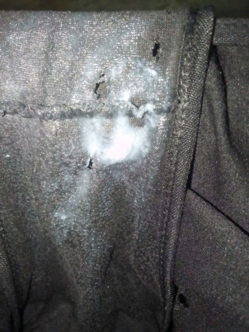 ขอบสอบถามแม่ๆหน่อยค่ะ
แบบนี้คือตกขาวใช่ไหมคะ
หรืออะไรคะคือไม่รู้เลยค่ะ
ก่อนตั้งครรภ์ไม่เคยตกขาวเลย