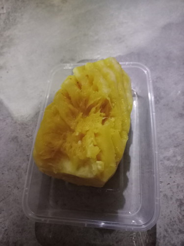Induksi alami
