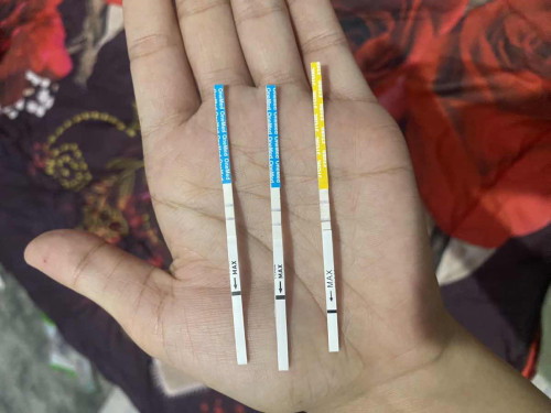 Hasil tespack + pas usg kntong jnin tdk ada,di blg ada cairan bebas diluar rahim😔 ada yg sama?