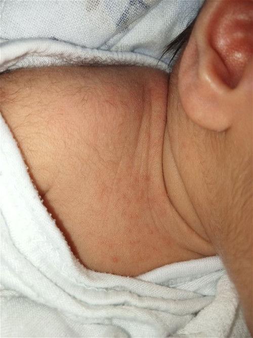 EDd;July 27
Born;August 4 @40 weeks via ND 
W:3.5👶