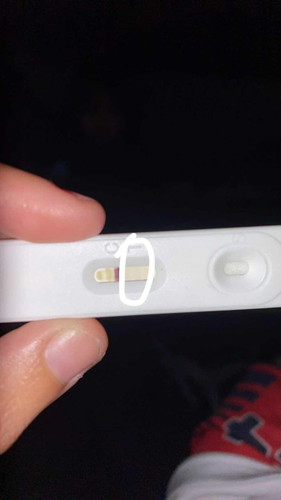 Pregnancy test