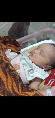 Hpl 10 launching 15 Agustus