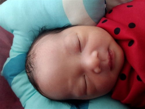 Misiiiii mau cerita.