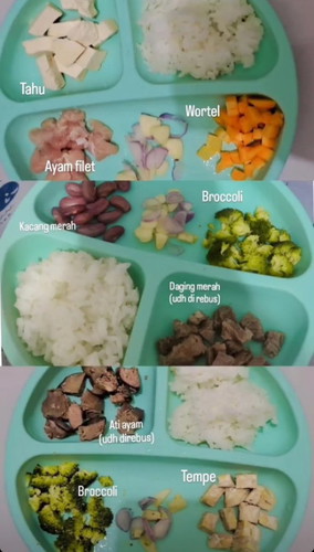 Mpasi 6 bulan