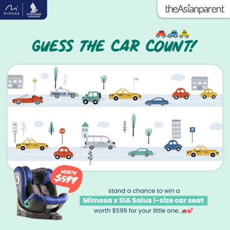 Guess the Car Count πππ