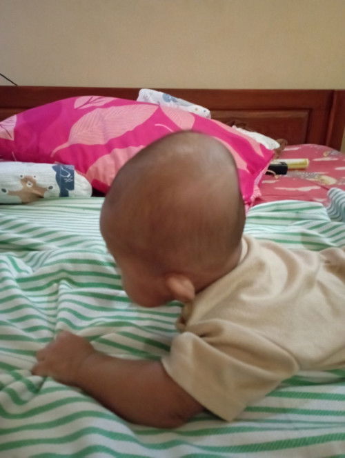 KEPALA BAYI