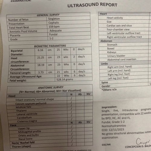 Congenital Anomaly Scan