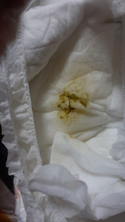 Pup bayi warna hijau