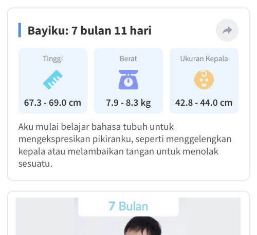 bayi 7 bulan