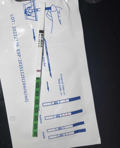 pregnancy test kabur