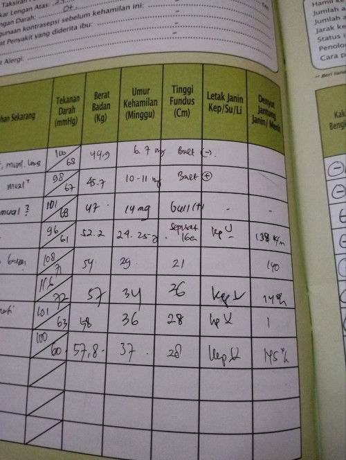 arti letak janin di buku KIA