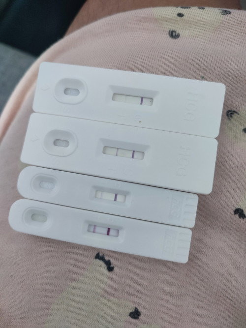 Pregnant or not?