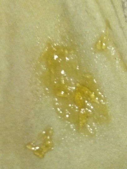 PASINTABI PO SA KUMAKAIN, YELLOW STICKY, NO ODOR