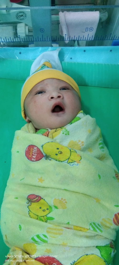 Hpl tgl 16 agustus,,