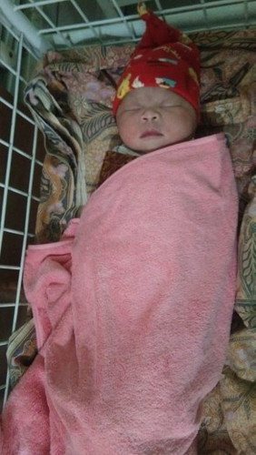 HPL tepat pada waktunya