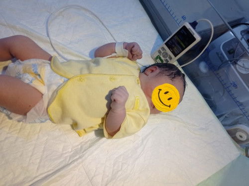 Alhamdulillah sudah launching HPL 30 Agustus